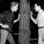 Elvis Presley utilisait son frère jumeau comme doublure corporelle ? La vérité sur son frère jumeau