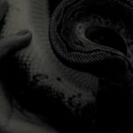Godflesh – Purge (2023)