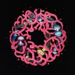 Liquid Pennies – ‘Fore’