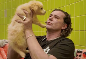 Gavin Rossdale de Bush lance la campagne « 12 Days Of Dogmas » en partenariat avec « Best Friends Animal Society »