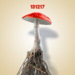 Sex Shop Mushrooms – 131217