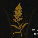 WARG – To the One (2025)