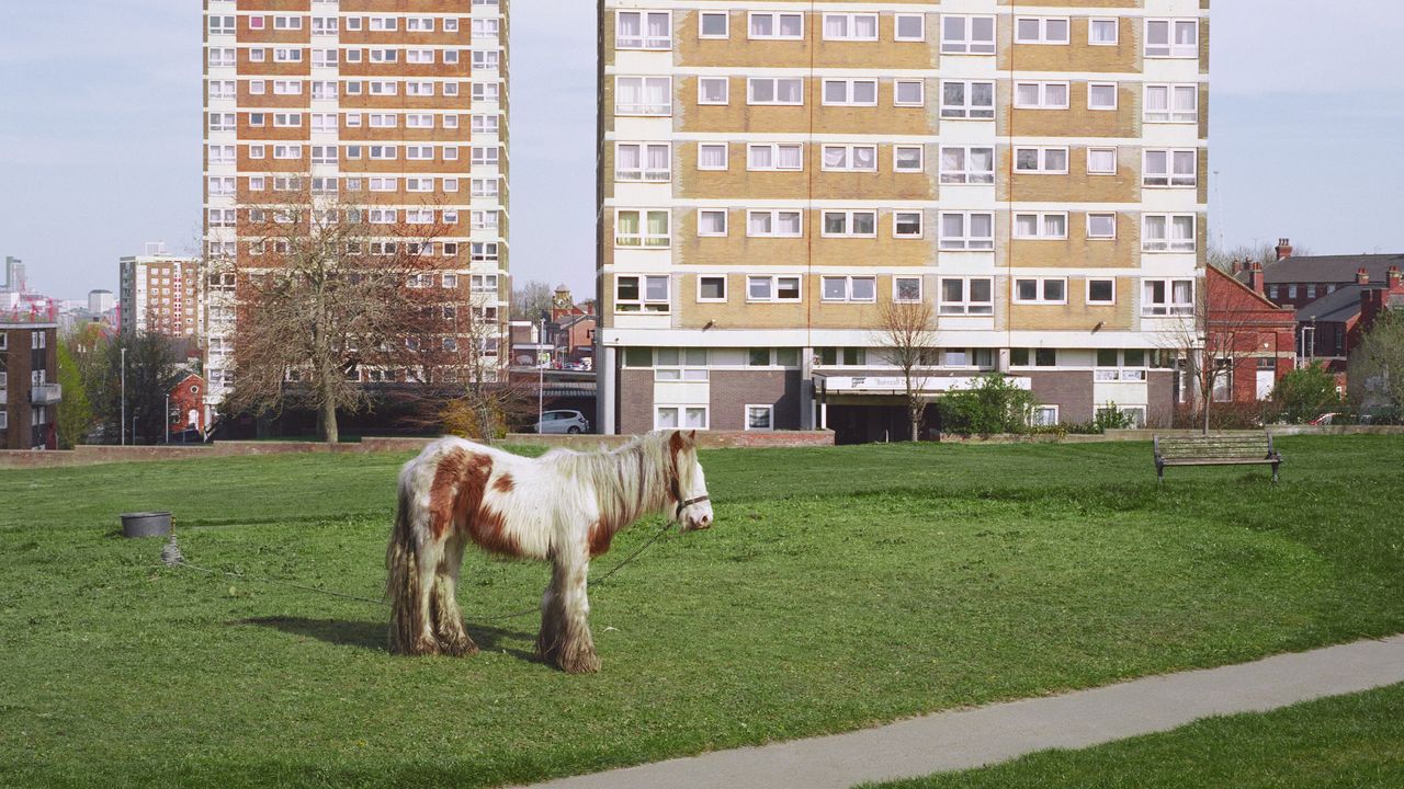 Westside Cowboy : « It Goes On », quand le rock cabossé prend la poussière des grands espaces.