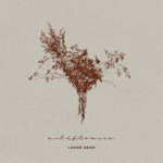 LONER DEER – Wildflower