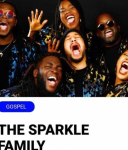 THE SPARKLE FAMILY