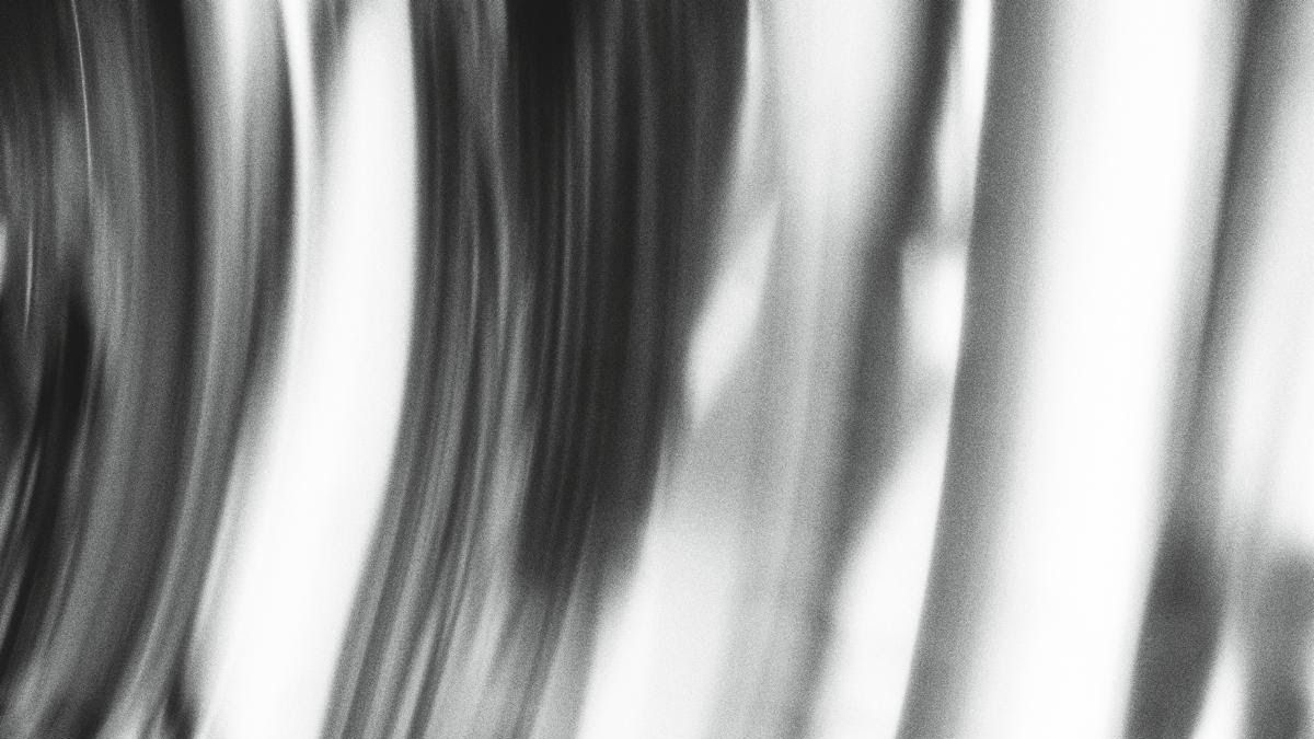 Ty Segall : une plongée brute et électrique dans les entrailles du garage rock avec Chrome