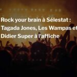 Rock your brain à Sélestat : Tagada Jones, Les Wampas et Didier Super à l’affiche