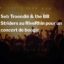 Seb Troendlé & the BB Striders au RiveRhin pour un concert de boogie